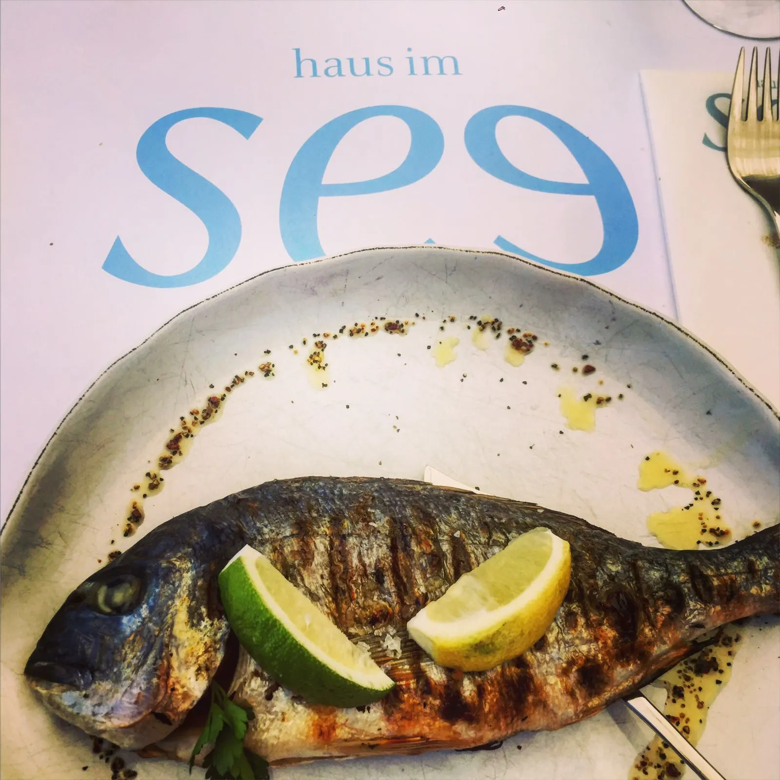 HAUS IM SEE: statt Saint Tropez